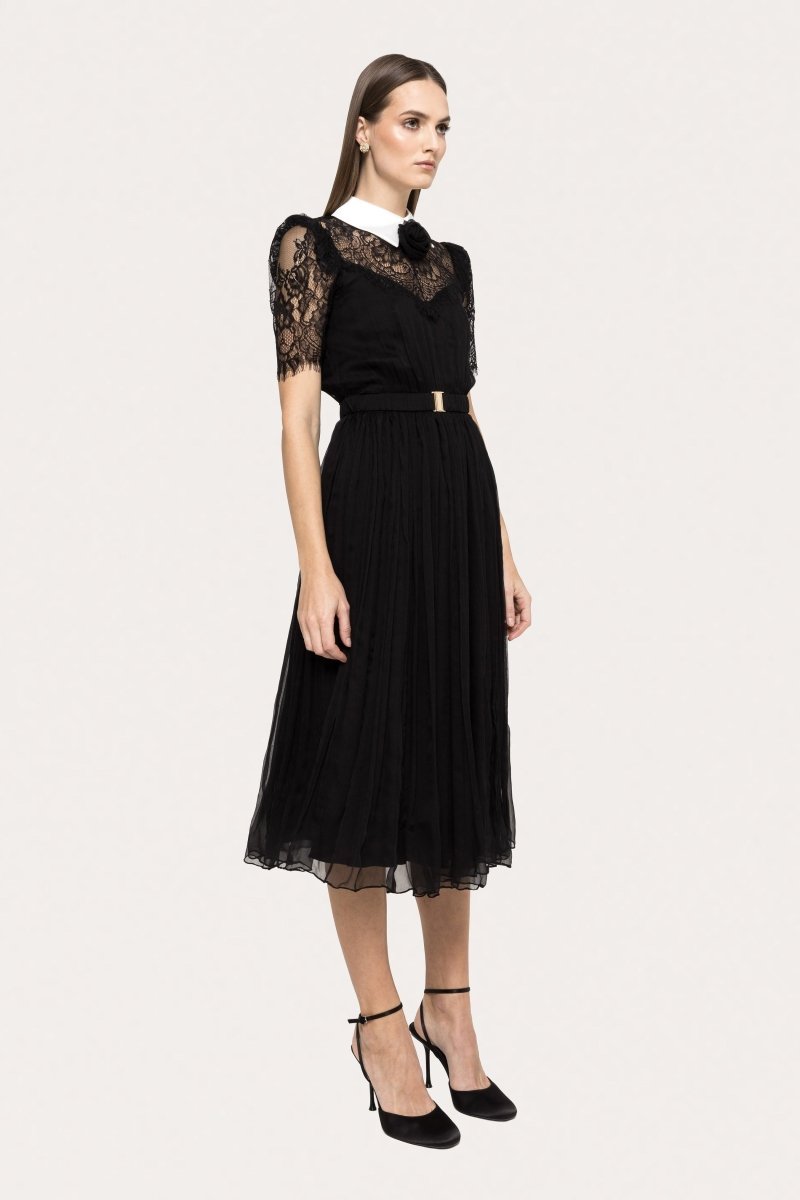 ELEGANT LACE COLLAR MIDI DRESS - Nakhle.Ets - Dresses